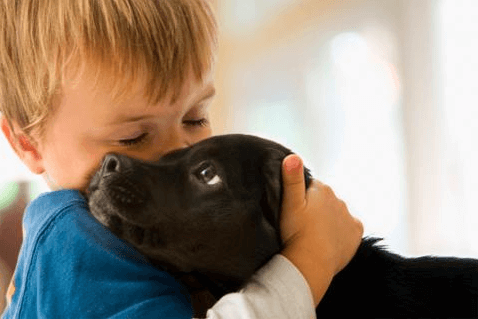 black-labrador-puppy-being-hugged-by=small-boy