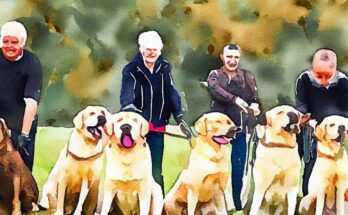 Group of Labrador Retrievers and owners during a positive reinforcement dog training session. Acryl painting
